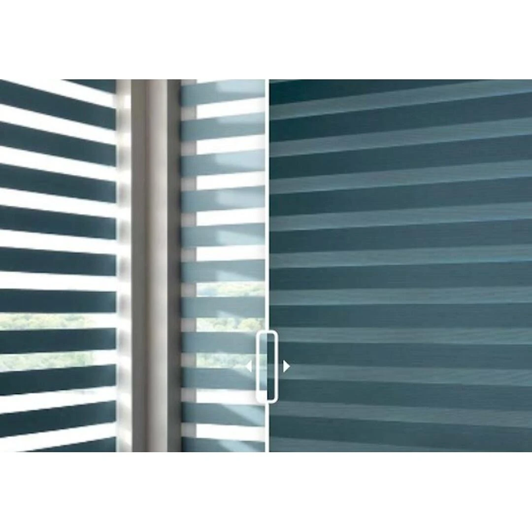 Zebra collection 62 2